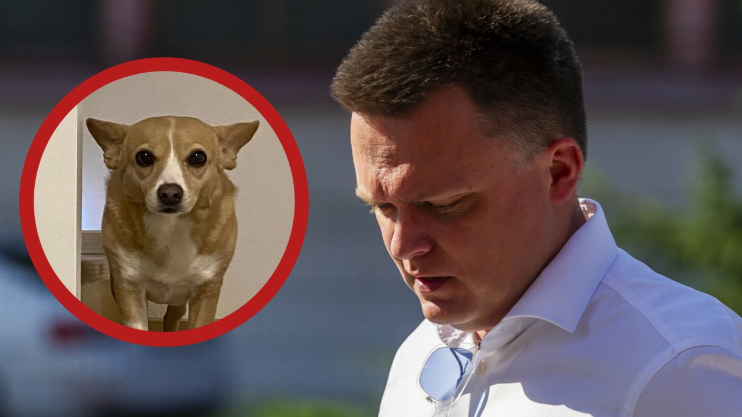 Szymon Hołownia i pies Żelka
