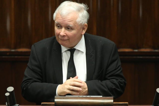 Koty są dla prezesa, zaraz obok polityki, najważniejsze.