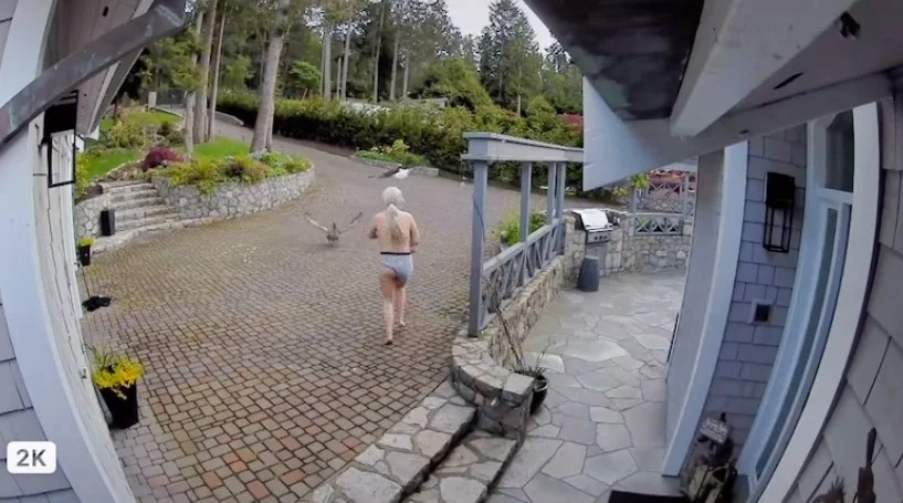 filmik tiktok matka topless orzeł gęś