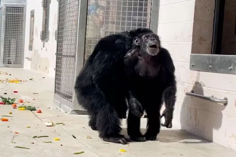 Wzruszający moment uwieczniono na nagraniu