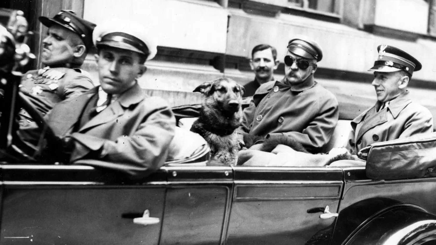 Piłsudski z psem w samochodzie