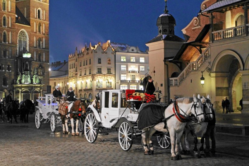 W Krakowie zasłabł koń ciągnący dorożkę.
