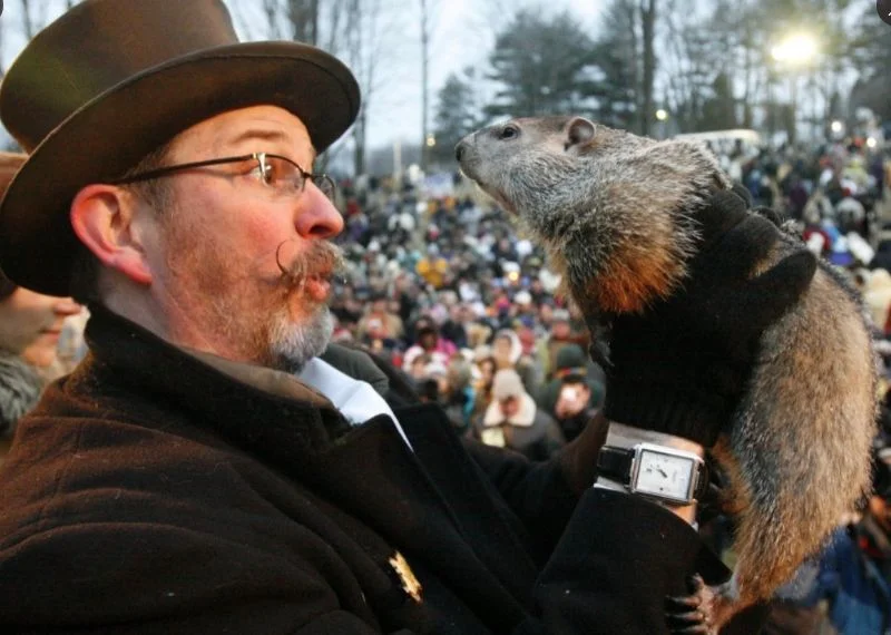 Dzień Świstaka 2021: świstak Phill zobaczył swój cień. Co to znaczy? [FOTO]