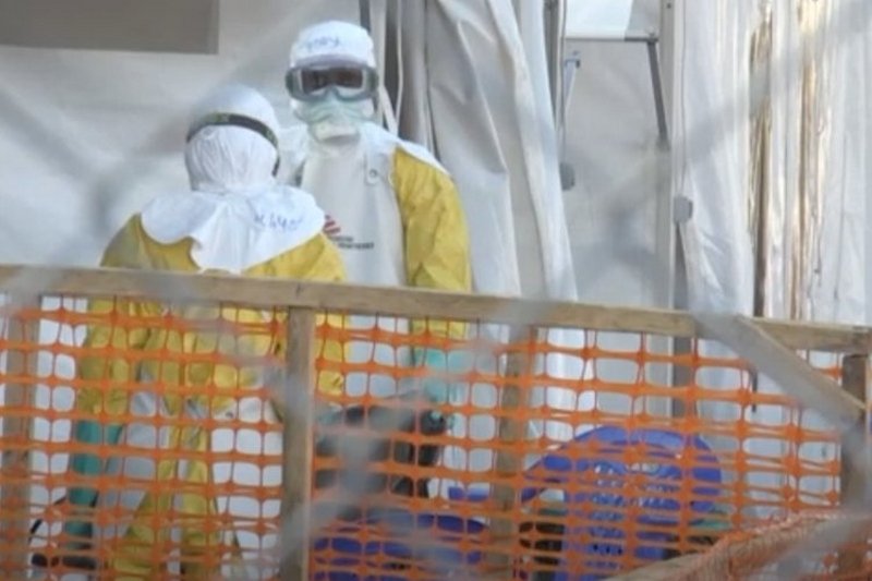 W Chinach wykryto nowy szczep wirusa grypy. Przenoszą go świnie.