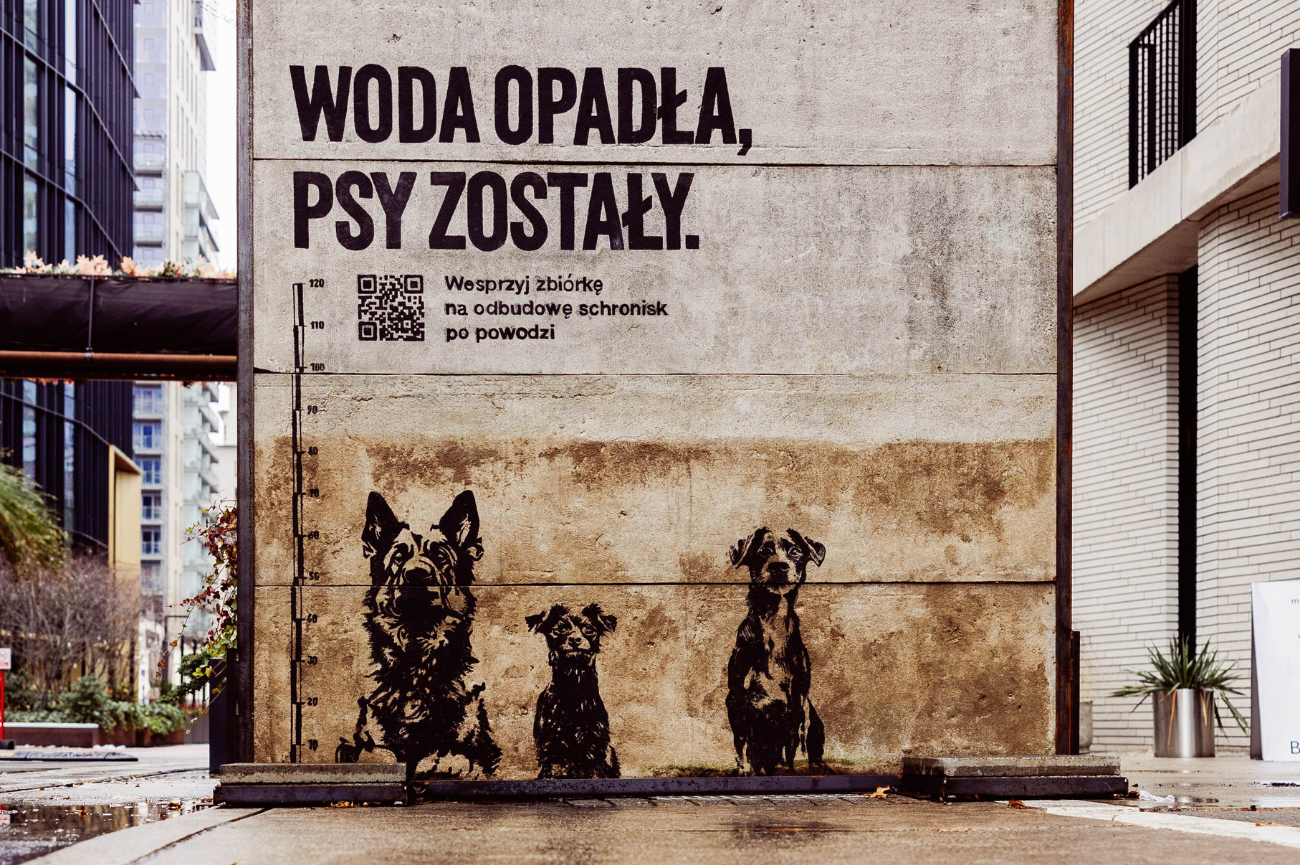 "Woda opadła, psy zostały" – kampania pomocowa dla bezdomnych zwierząt