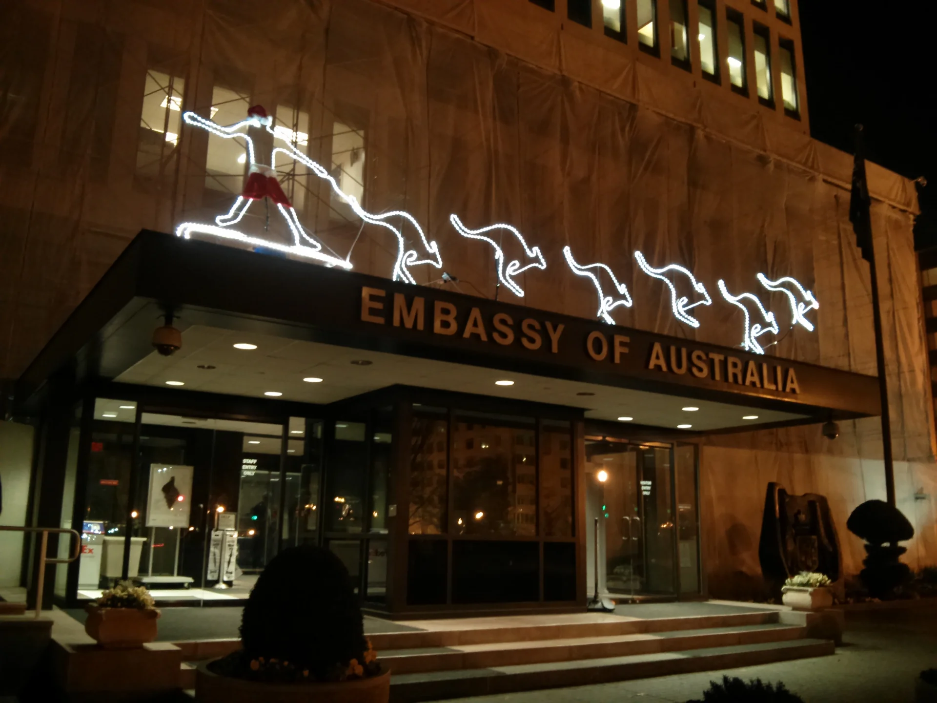 Zaprzęg z kangurami na australijskiej ambasadzie Zaprzęg z kangurami na australijskiej ambasadzie