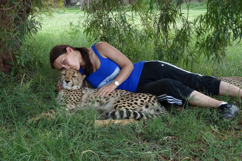 Sjesta z gepardzicą Eden.