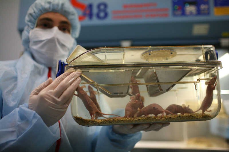 Naukowcy i ekolodzy porozumieli się w sprawie testów na zwierzętach.