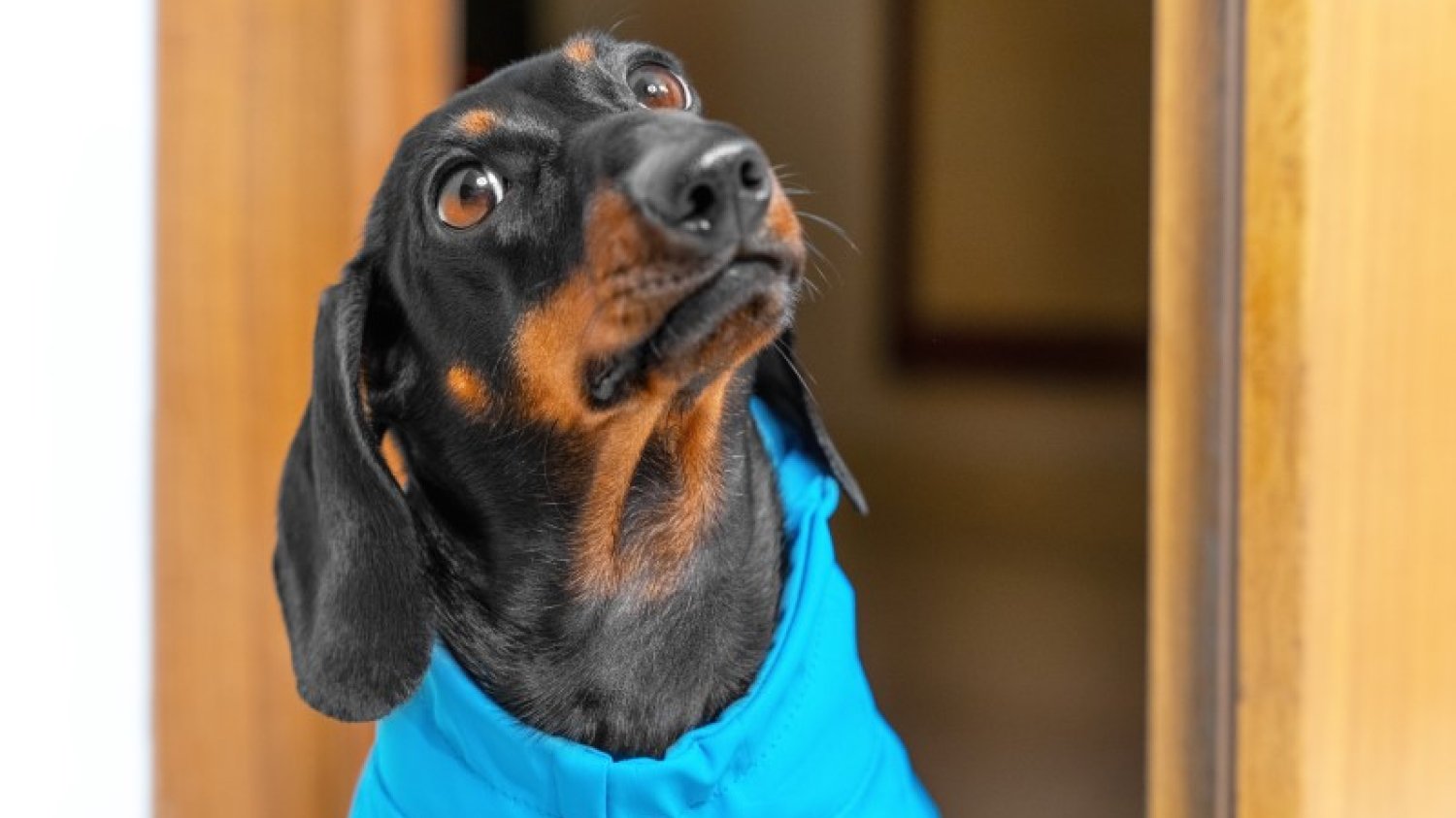 "Serio?! Nadal w to wierzycie?!"