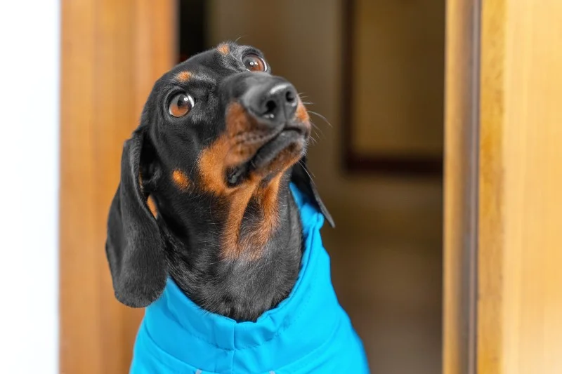 "Serio?! Nadal w to wierzycie?!"