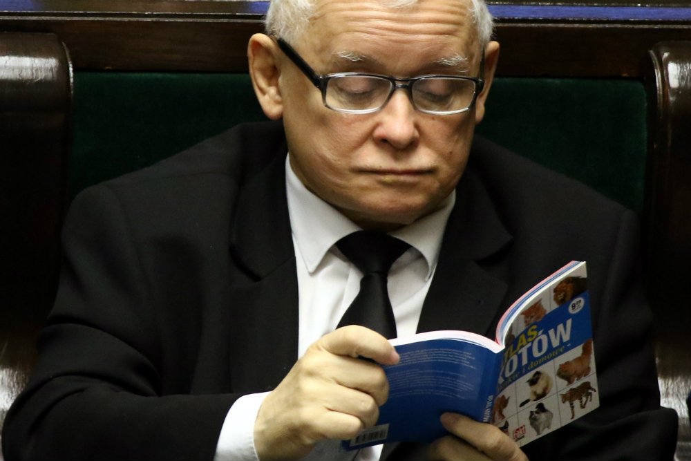 Kim jest kot Jarosława Kaczyńskiego, pyta na Facebooku mec. Jacek Dubois, pełnomocnik Geralda Birgfellnera.