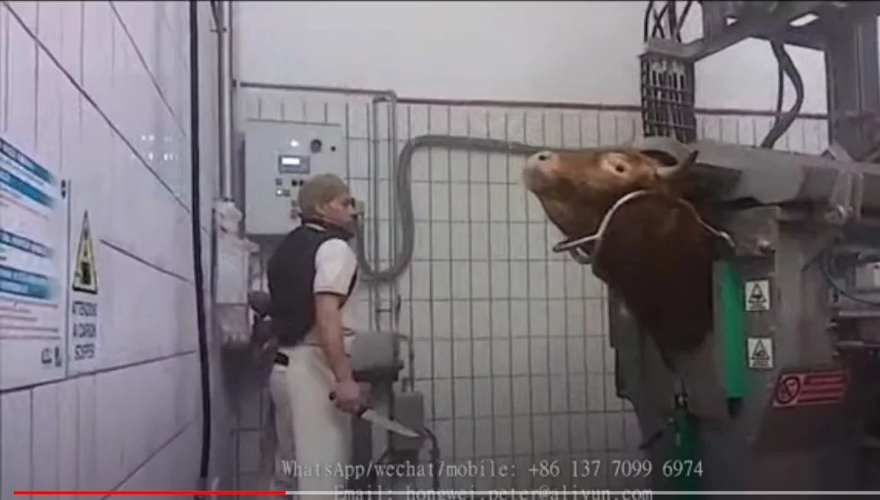 Klatka do uboju rytualnego