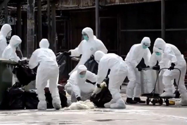 Hongkong zabija kurczaki, które mogły mieć kontakt z wirusem wywołującym ptasią grypę