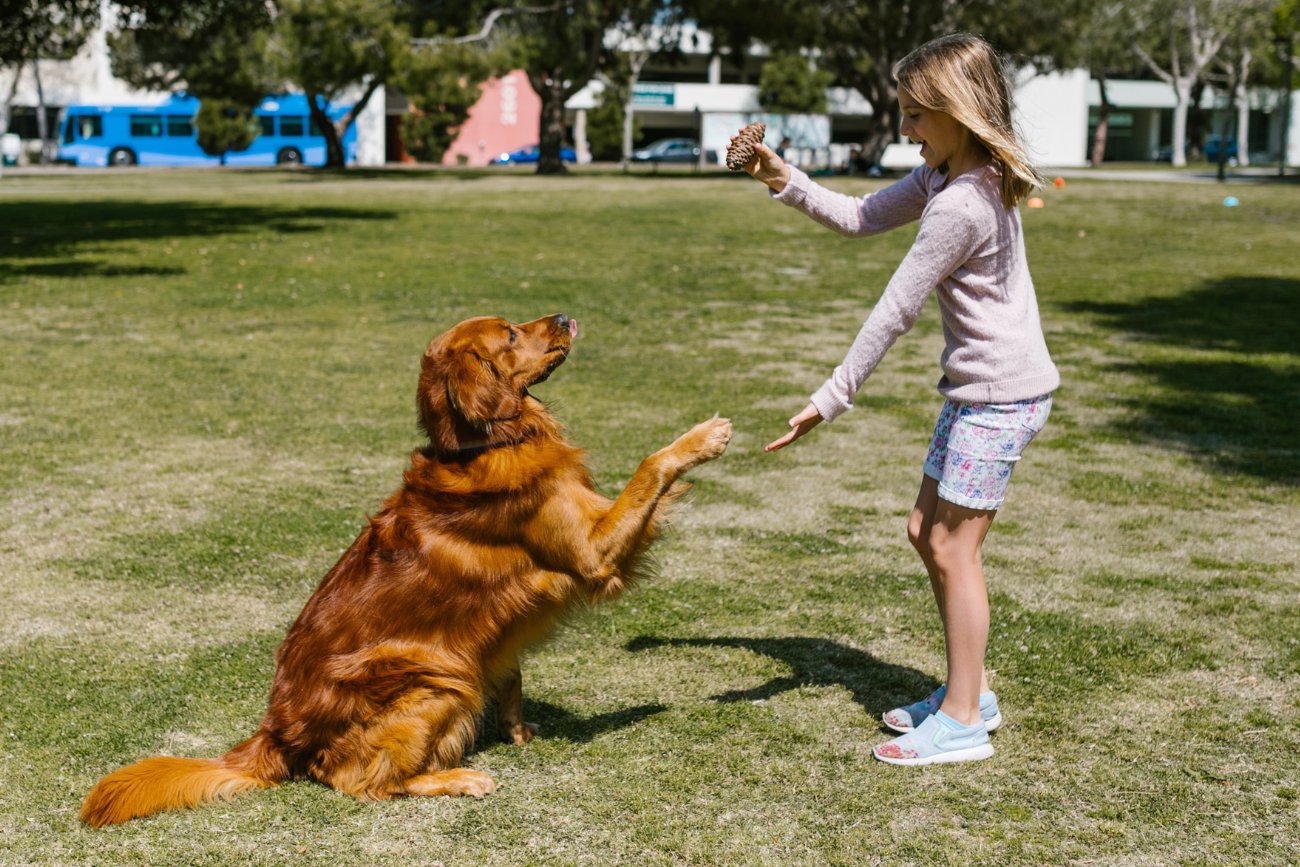 Fot. Canva / RDNE Stock project