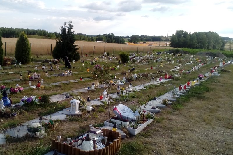 Co zrobić z psem lub kotem po jego śmierci? Większość właścicieli decyduje się na utylizację. Niektórzy wybierają pochówek na specjalnym cmentarzu.