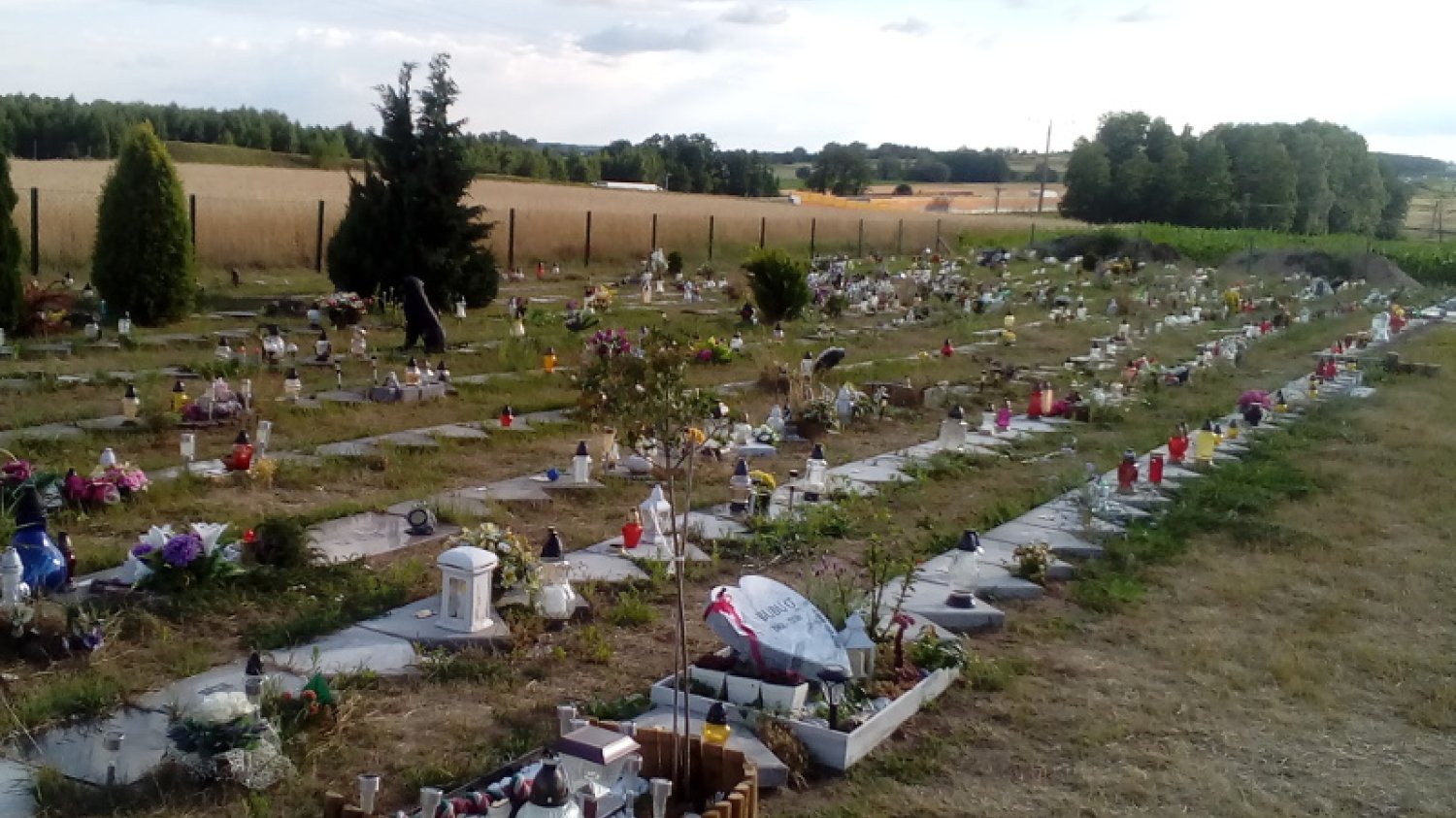 Co zrobić z psem lub kotem po jego śmierci? Większość właścicieli decyduje się na utylizację. Niektórzy wybierają pochówek na specjalnym cmentarzu.