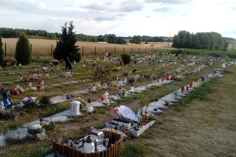 Co zrobić z psem lub kotem po jego śmierci? Większość właścicieli decyduje się na utylizację. Niektórzy wybierają pochówek na specjalnym cmentarzu.