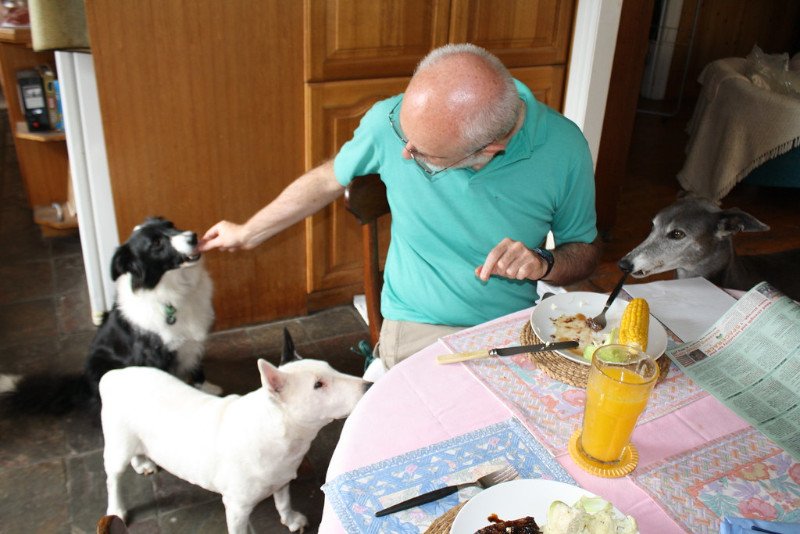 Niektórzy karmią psy, czym popadnie. A to błąd!