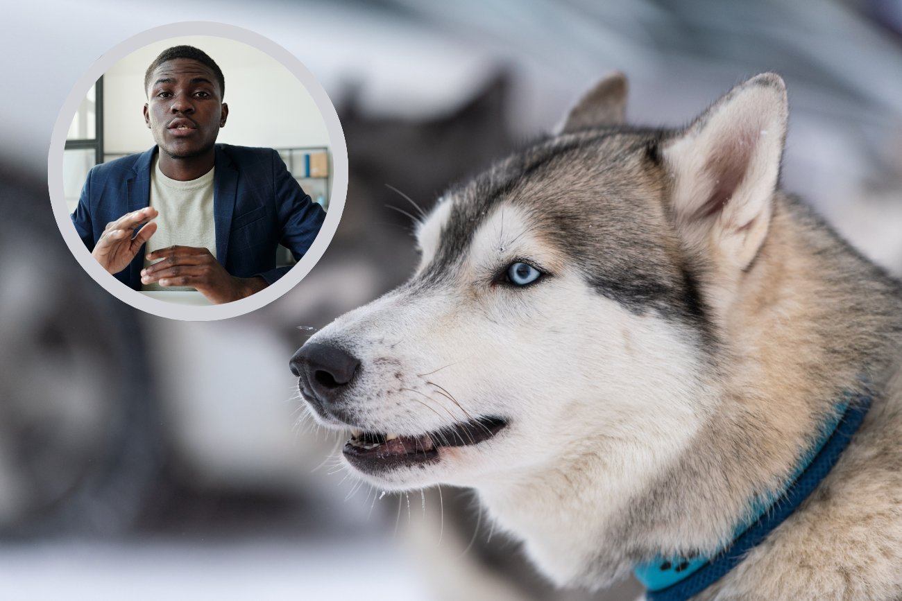 Trener psów zdradził, jakich ras nie chciałby nigdy mieć