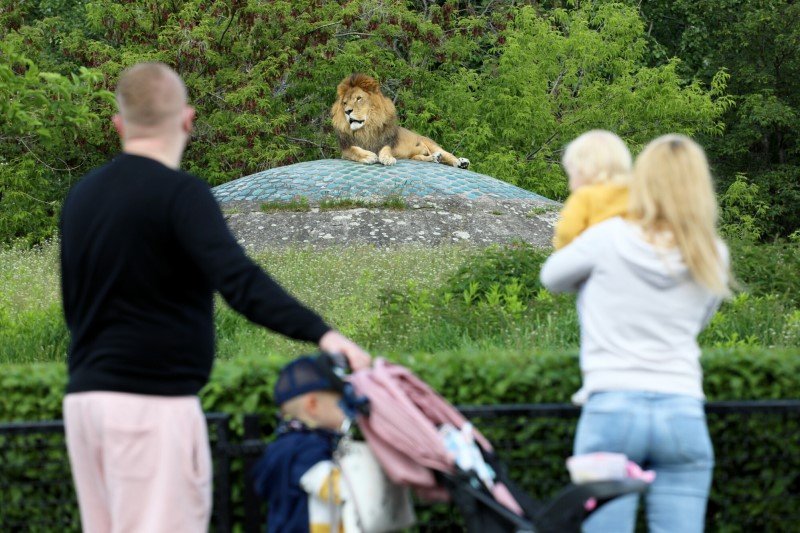 ZOO w sezonie wakacyjnym przeżywają prawdziwe oblężenie