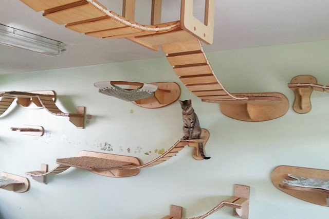 Wesołe jest życie sierściucha.