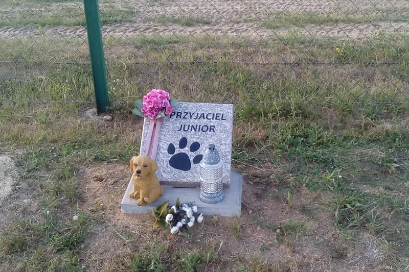 Niemal na wszystkich zwierzęcych nagrobkach w Rzędzianach stoją znicze.