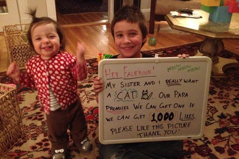 Remi i Evelyn Urbano proszą internautów o lajki żeby dostać kota