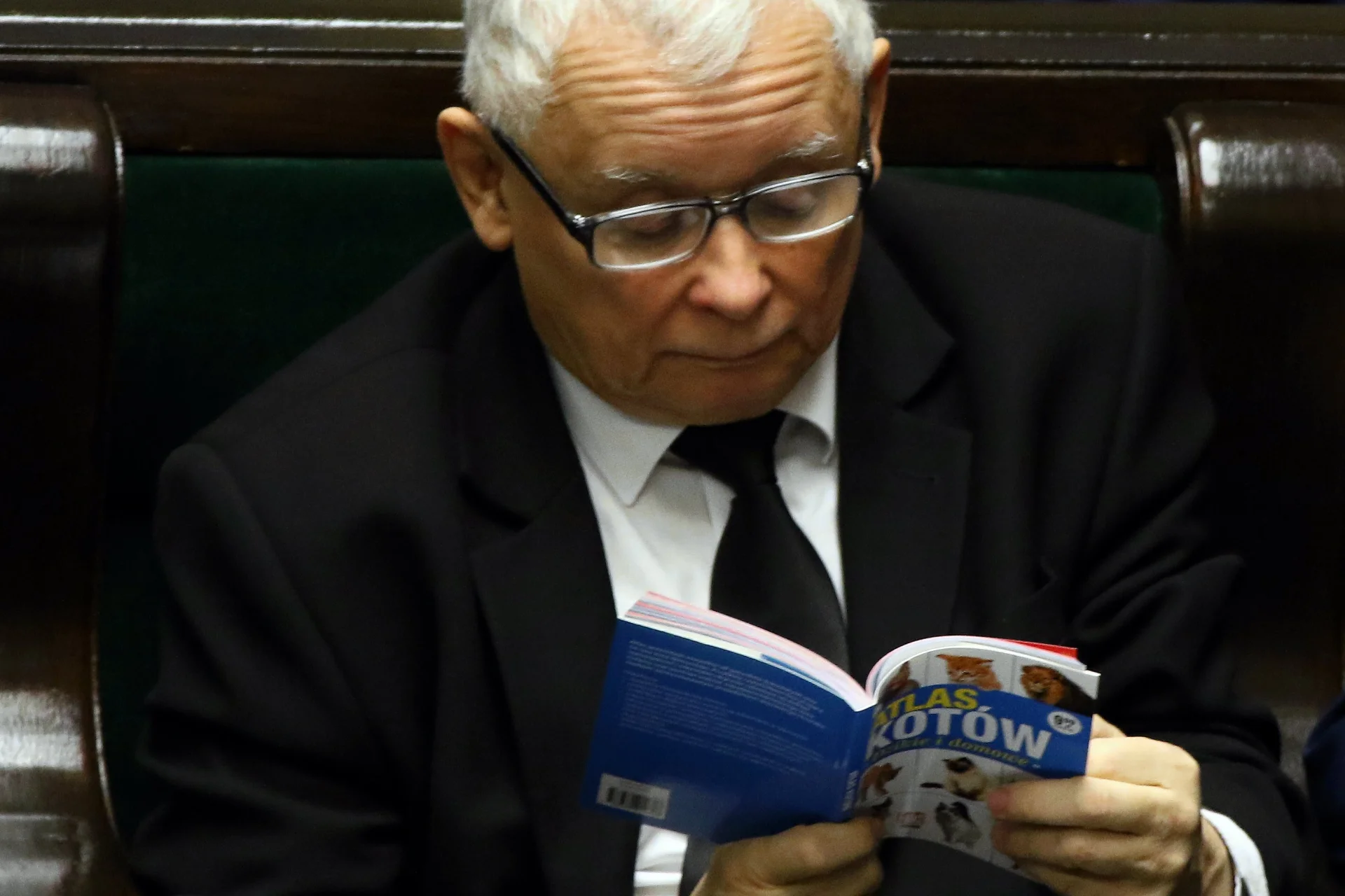 Jarosław Kaczyński czytający "Atlas kotów" był piątkowym "hitem internetów". Polacy pisali o nim częściej niż o sądach czy zakazie handlu w niedziele.