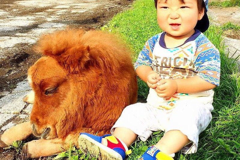 Filmiki z Farmy Suetoshi są bardzo popularne na Facebooku.