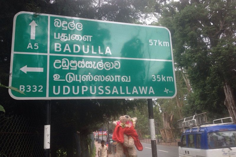 Pocker wróci do swojej pani dopiero jak uda mu się odwiedzić wszystkie kontynenty.