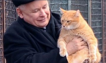 Jarosław Kaczyński z Feliksem zwanym "Rudym". Z okazji Dnia Kota prezentujemy ukochane czworonogi polityków i podpowiadamy, jak pomóc bezdomnym zwierzętom. Dzień Kota 2021: jakie koty mają politycy? Jak pomóc bezdomnym zwierzętom?
