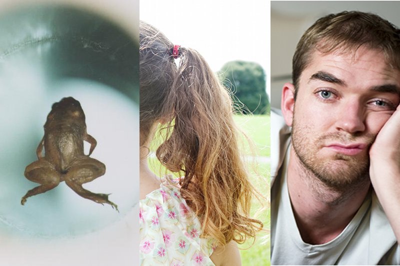 Lewitująca żaba, skręcanie włosów w kucyku, najnudniejszy dzień w XX wieku. Po co robić takie badania?