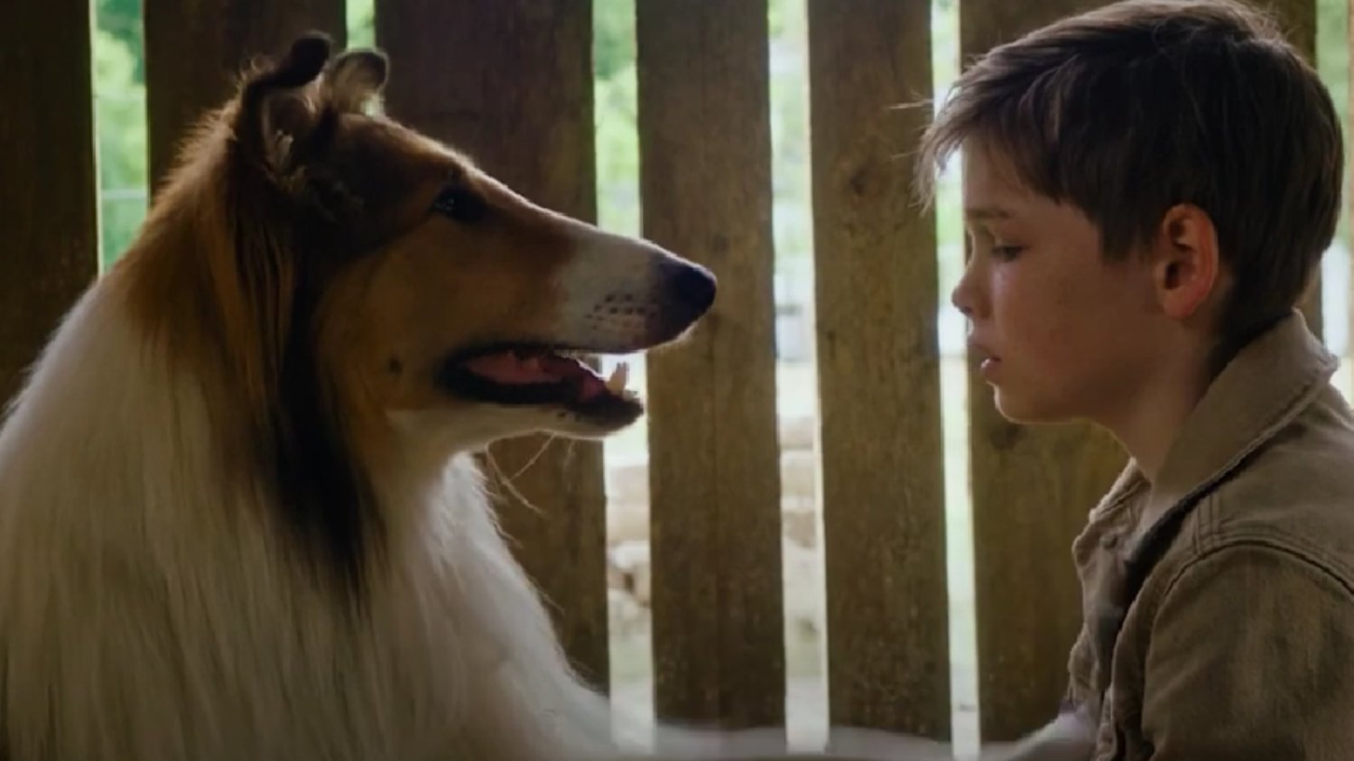 Kadr z filmu "Lassie, wróć!"
