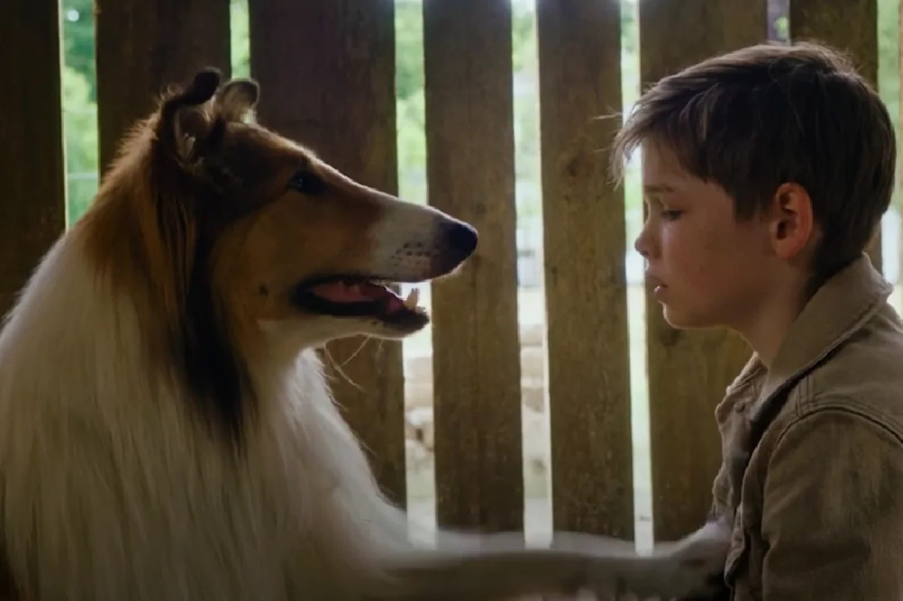 Kadr z filmu "Lassie, wróć!" Kadr z filmu "Lassie, wróć!"