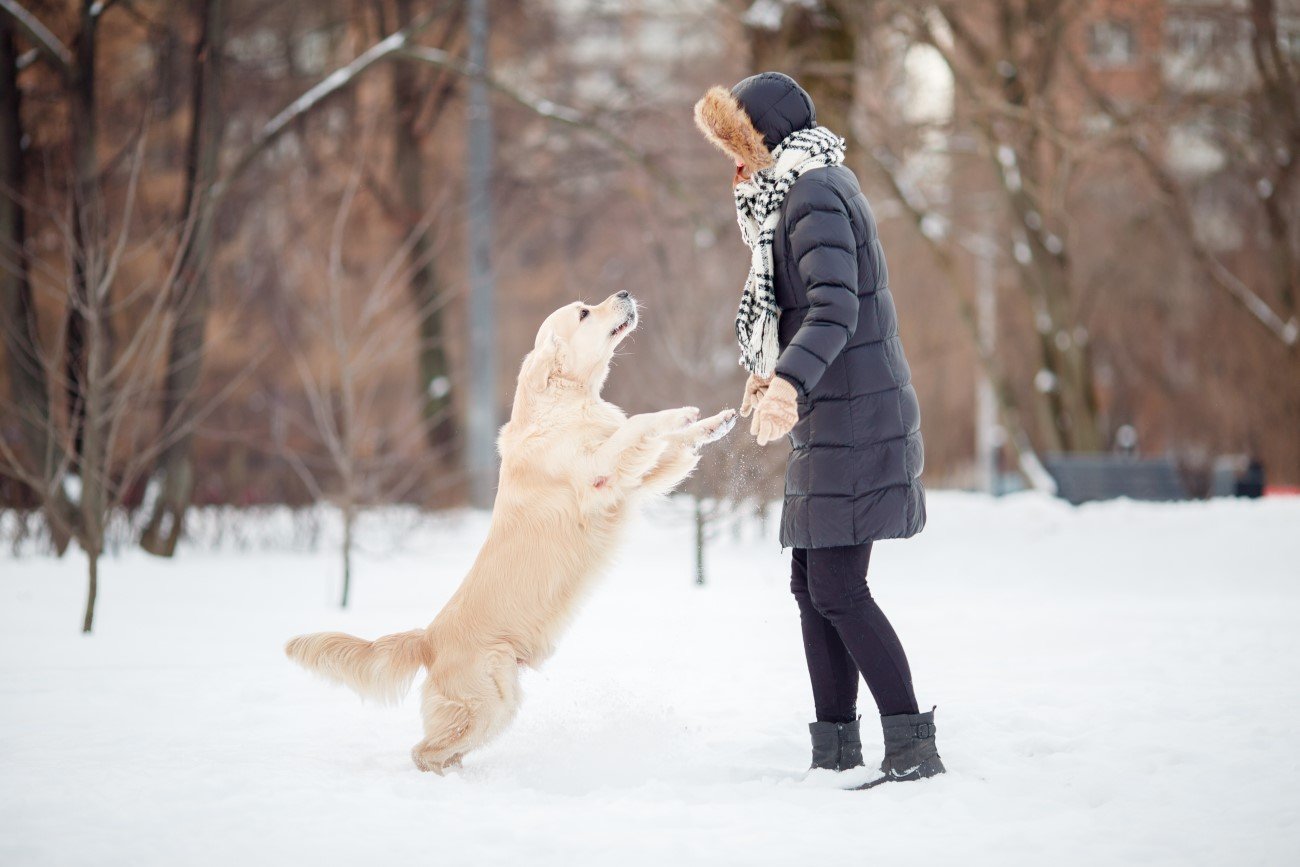 Nie wszyscy cieszą się, gdy skacze na nich pies