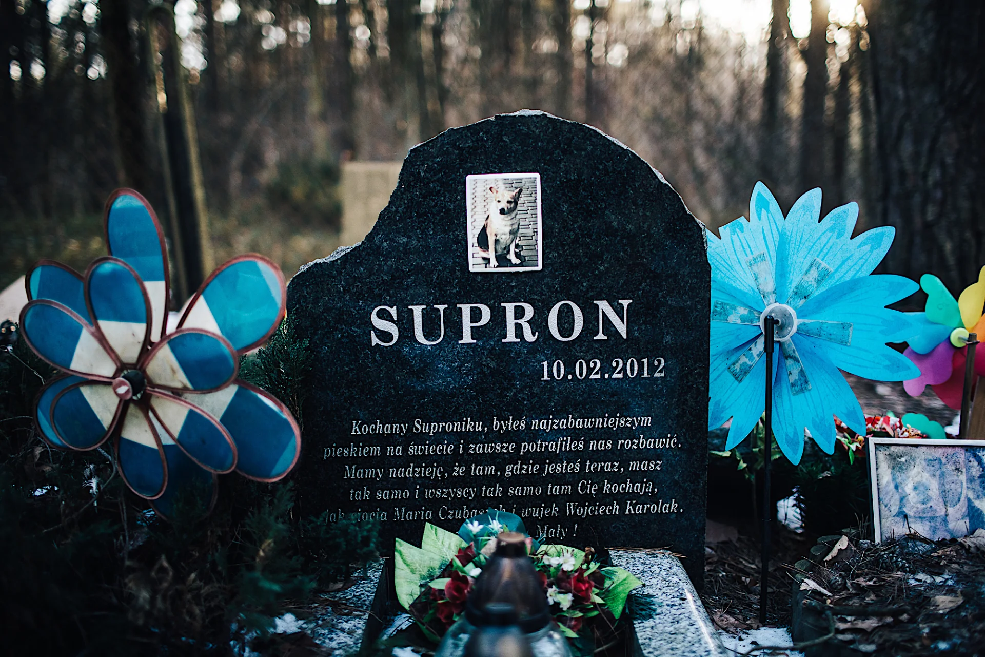 Nagrobek Suprona, psa Marii Czubaszek