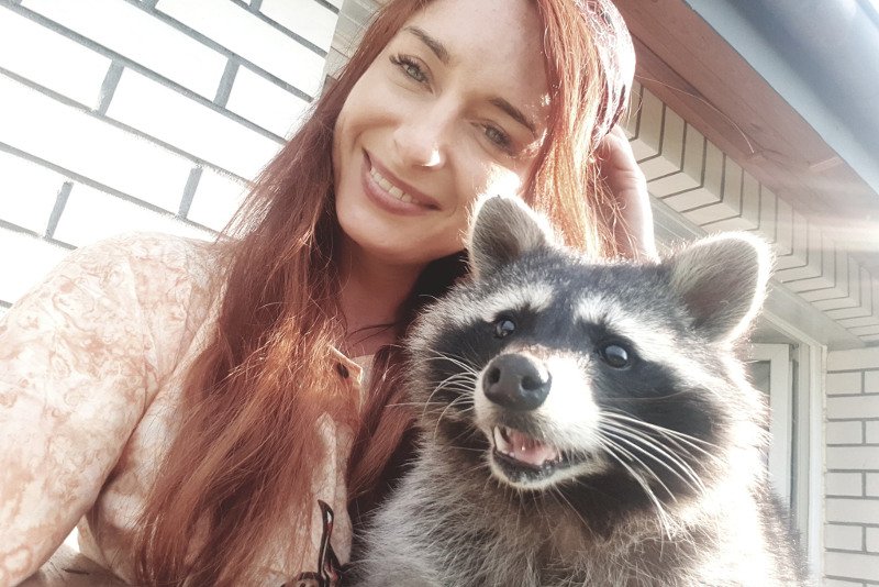 Oswojony szop Edward z Olsztyna został uduszony w beczce przez turystów.