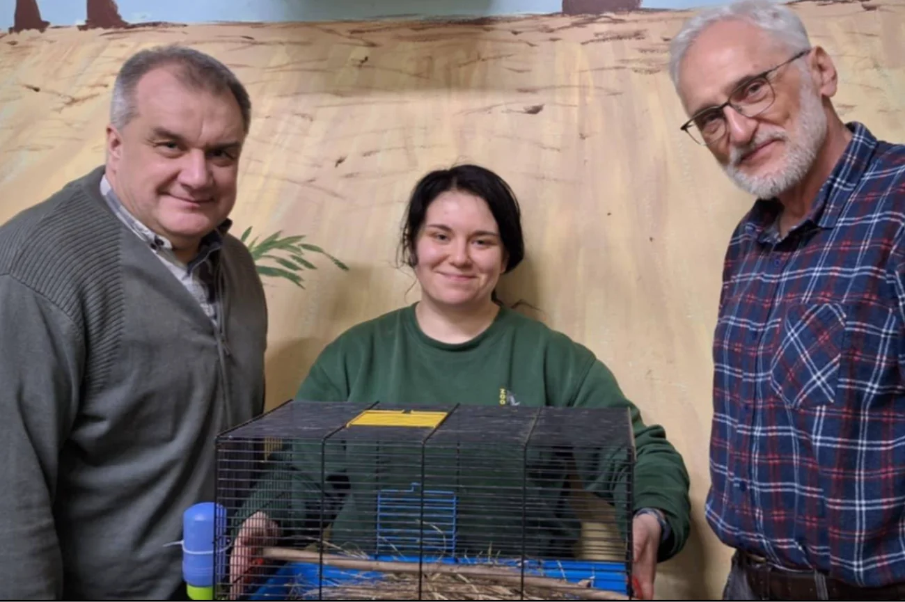 Znaleziona żołędnica europejska w klatce w zoo w Poznaniu