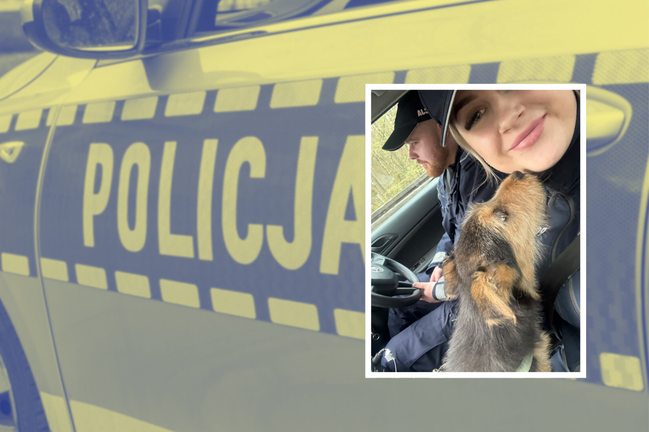 Policja w Kartuzach uratowała psa Policja w Kartuzach ratuje psa, nad którym pastwiły się dzieci