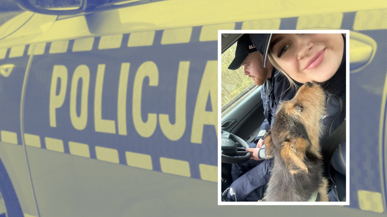 Policja w Kartuzach ratuje psa, nad którym pastwiły się dzieci