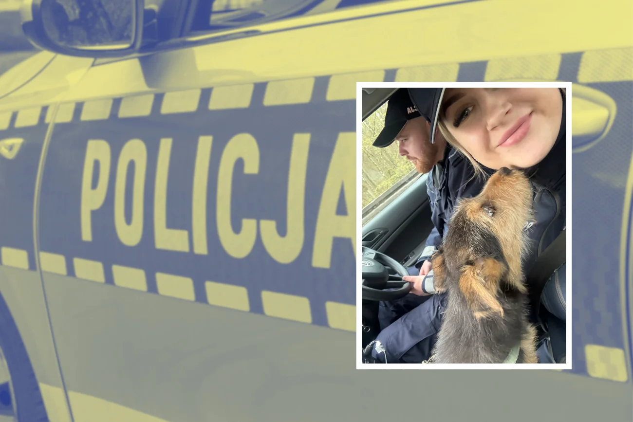 Policja w Kartuzach ratuje psa, nad którym pastwiły się dzieci