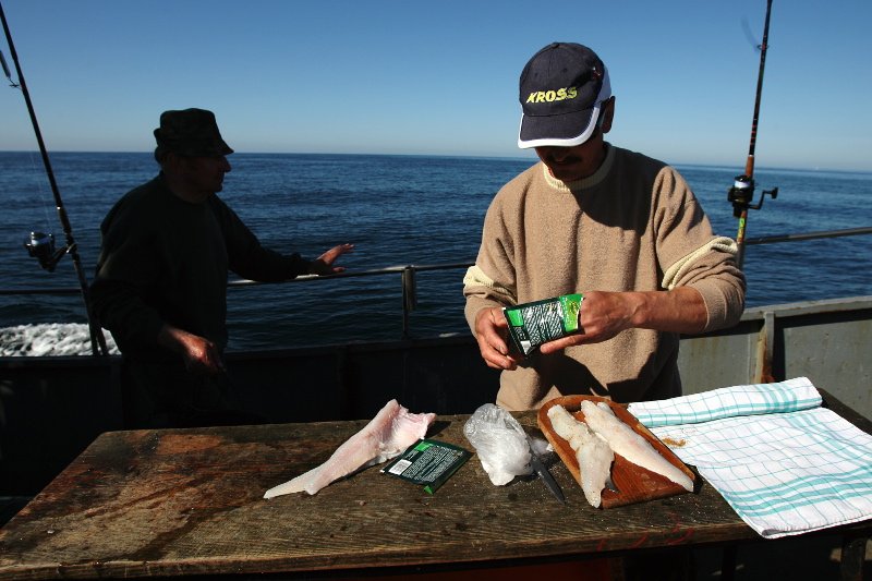 Dorsze są co raz częściej zarażane nicieniem, który jest groźny dla zdrowia człowieka, jeżeli zostanie przypadkowo spożyty.