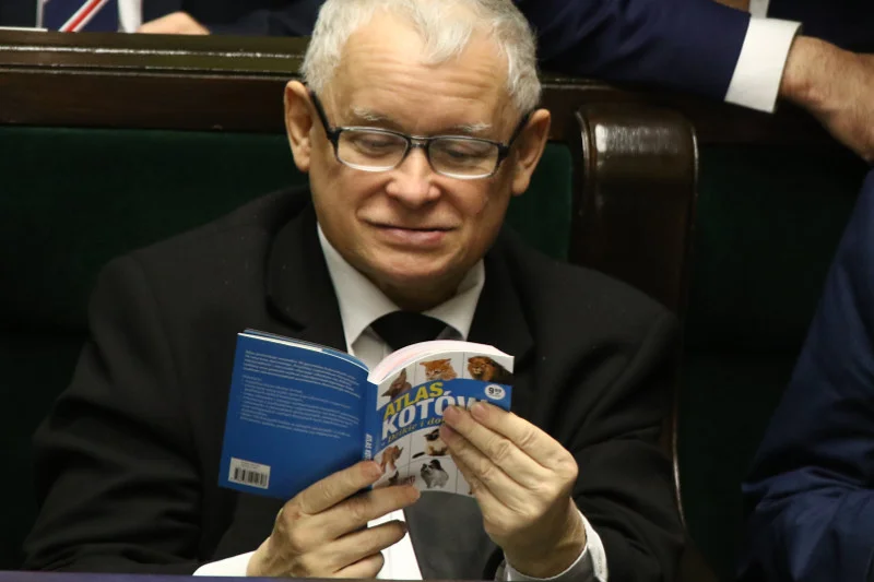 Prezes PiS Jarosław Kaczyński czytający "Atlas kotów" w trakcie sejmowych głosowań.
