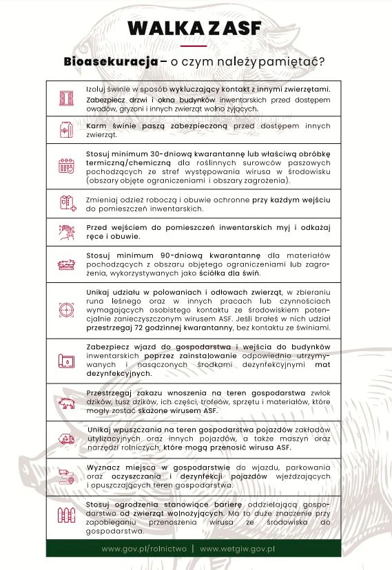 ASF – stukilometrowy płot stanie od połowy września na granicy Podkarpacia