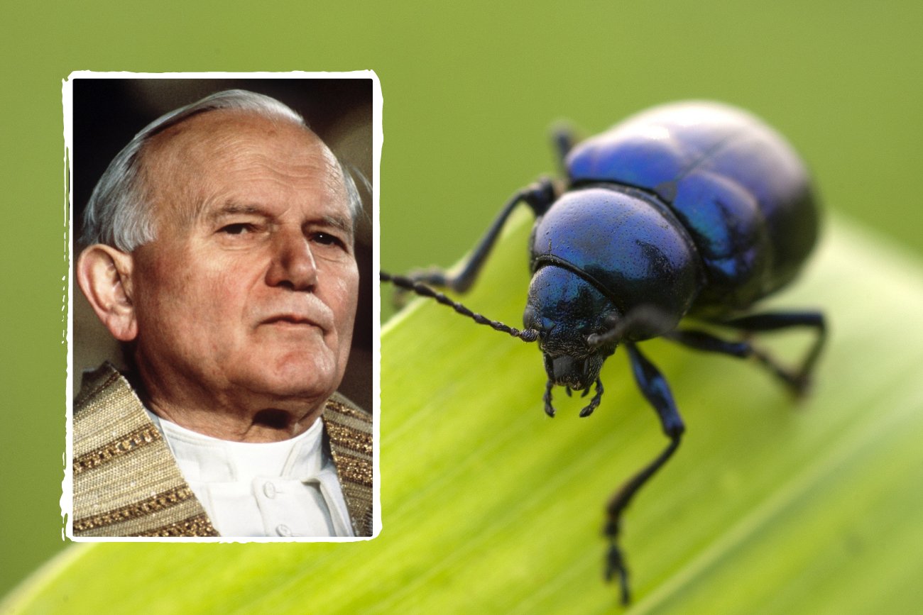 Na cześć Jana Pawła II nazwano wiele zwierząt. Tylko czy któraś ze stron tego chciała?