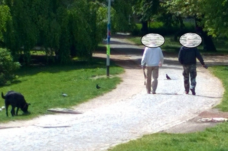 Galeria Brudasów to sposób miasta na walkę z właścicielami psów.