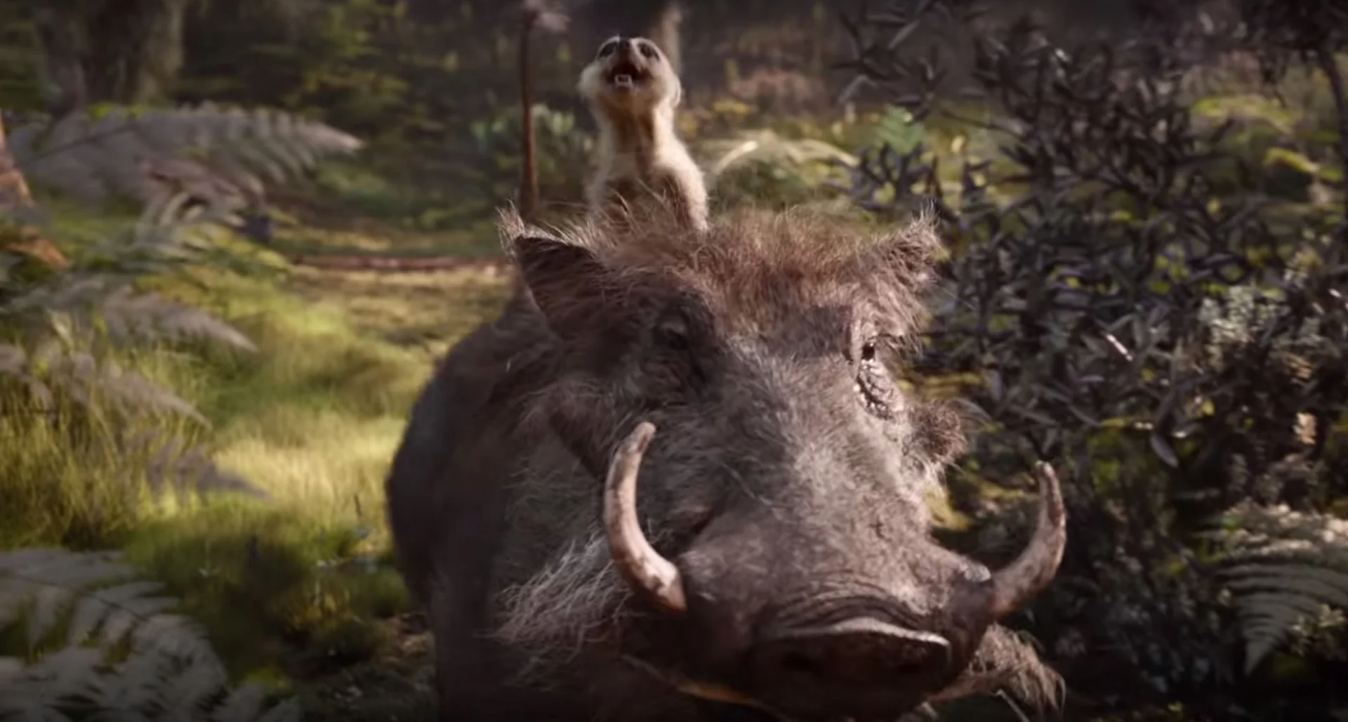Przesympatyczny Timon i uroczy w swej brzydocie Pumba ratują ten film