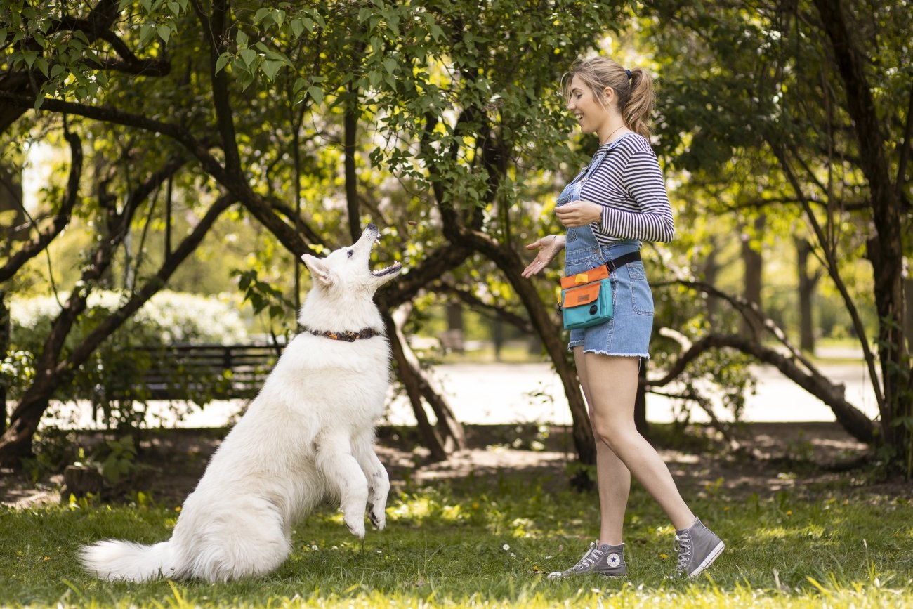 Wychowywanie psa to zadanie wymagające zaangażowania, cierpliwości i zrozumienia. Psi towarzysz może stać się lojalnym przyjacielem i ważnym członkiem rodziny. Jak zatem wychować psa, aby był grzeczny i szczęśliwy?