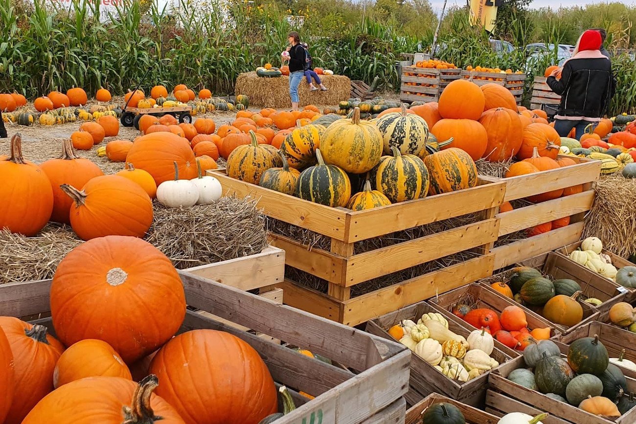 Co się dzieje w Warszawie w weekend? Oto wydarzenia na 15-17 października.