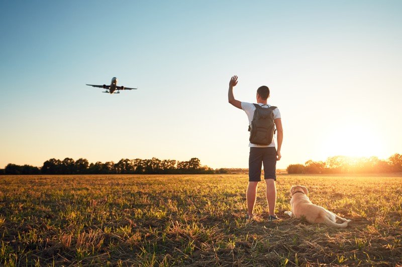 Pies po rozwodzie dla wielu osób jest ważniejszy niż samochód czy nieruchomości